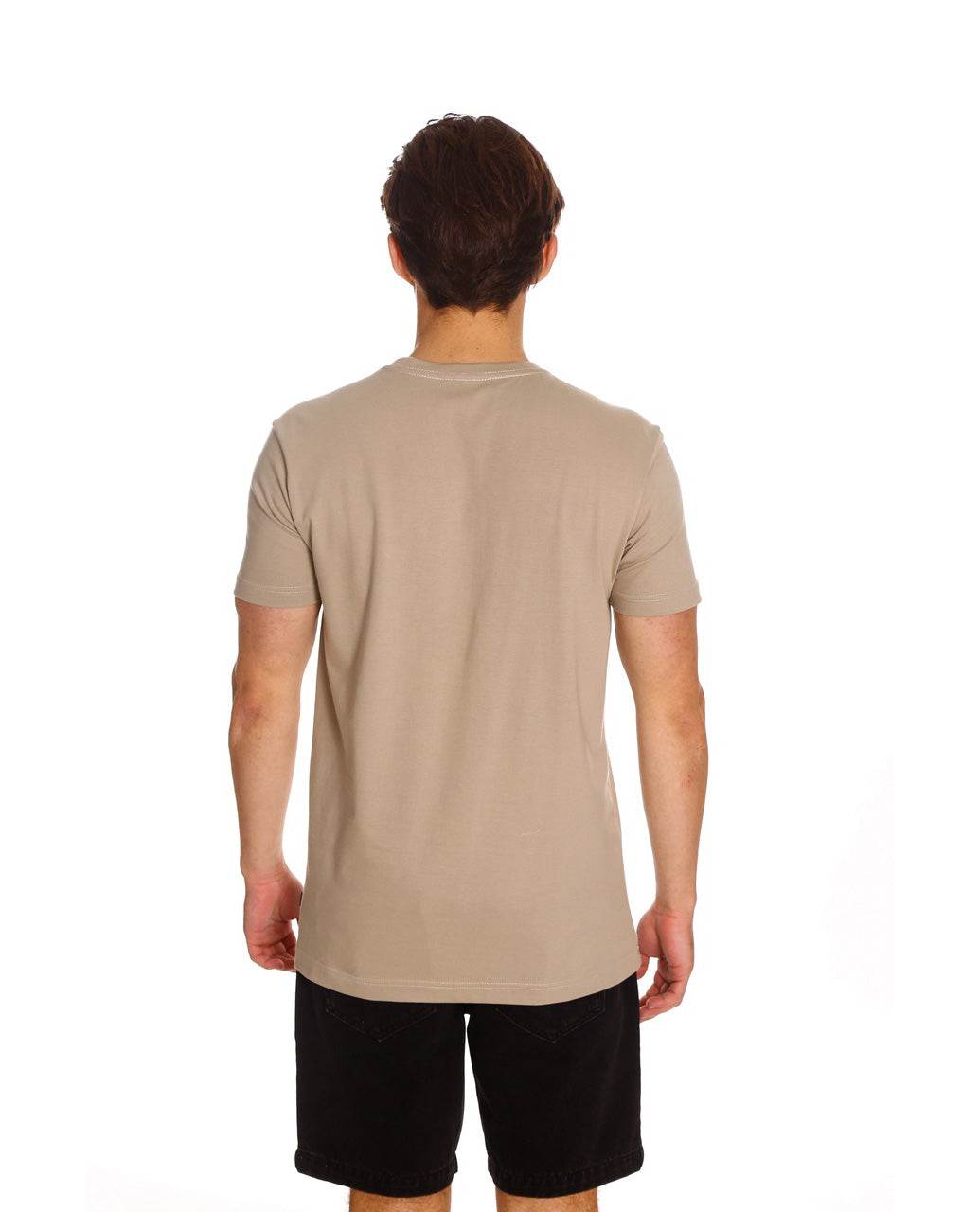 APPLE BLOCK V-NECK TEE - Rip Curl