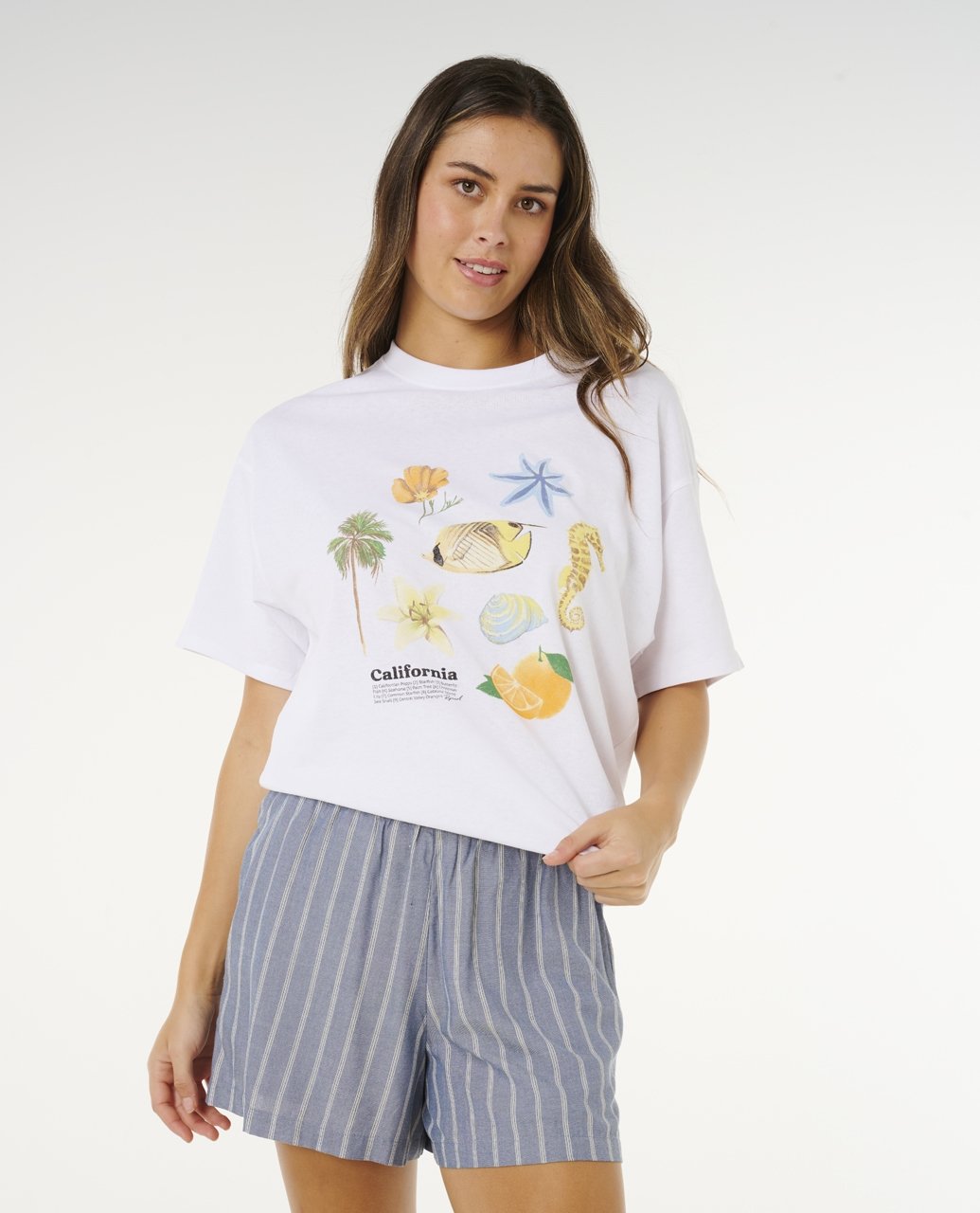 BEACH DAYS PINSTRIPE SHORT