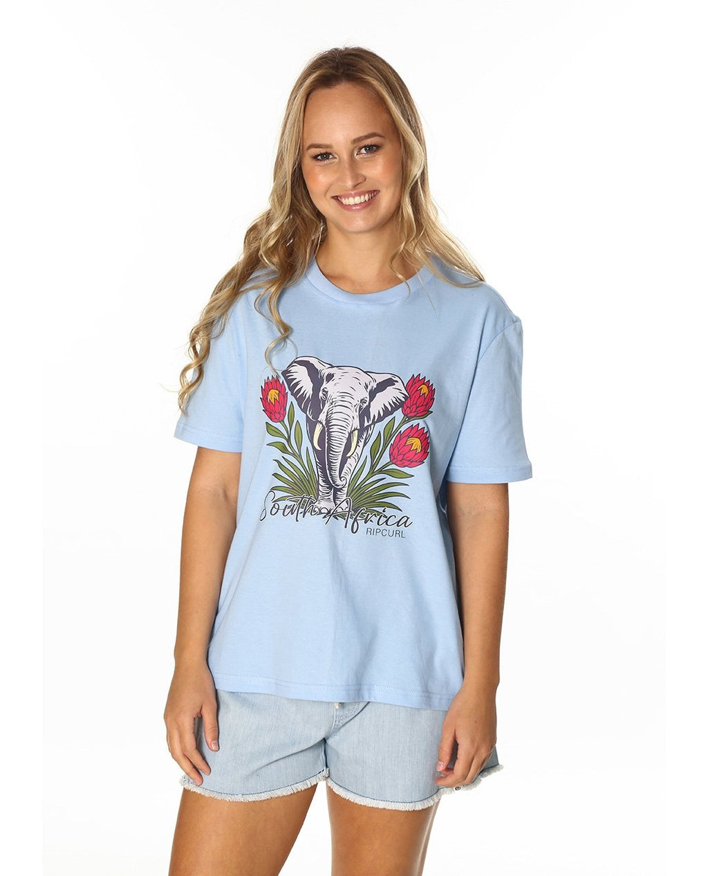 PROTEA ELEPHANT